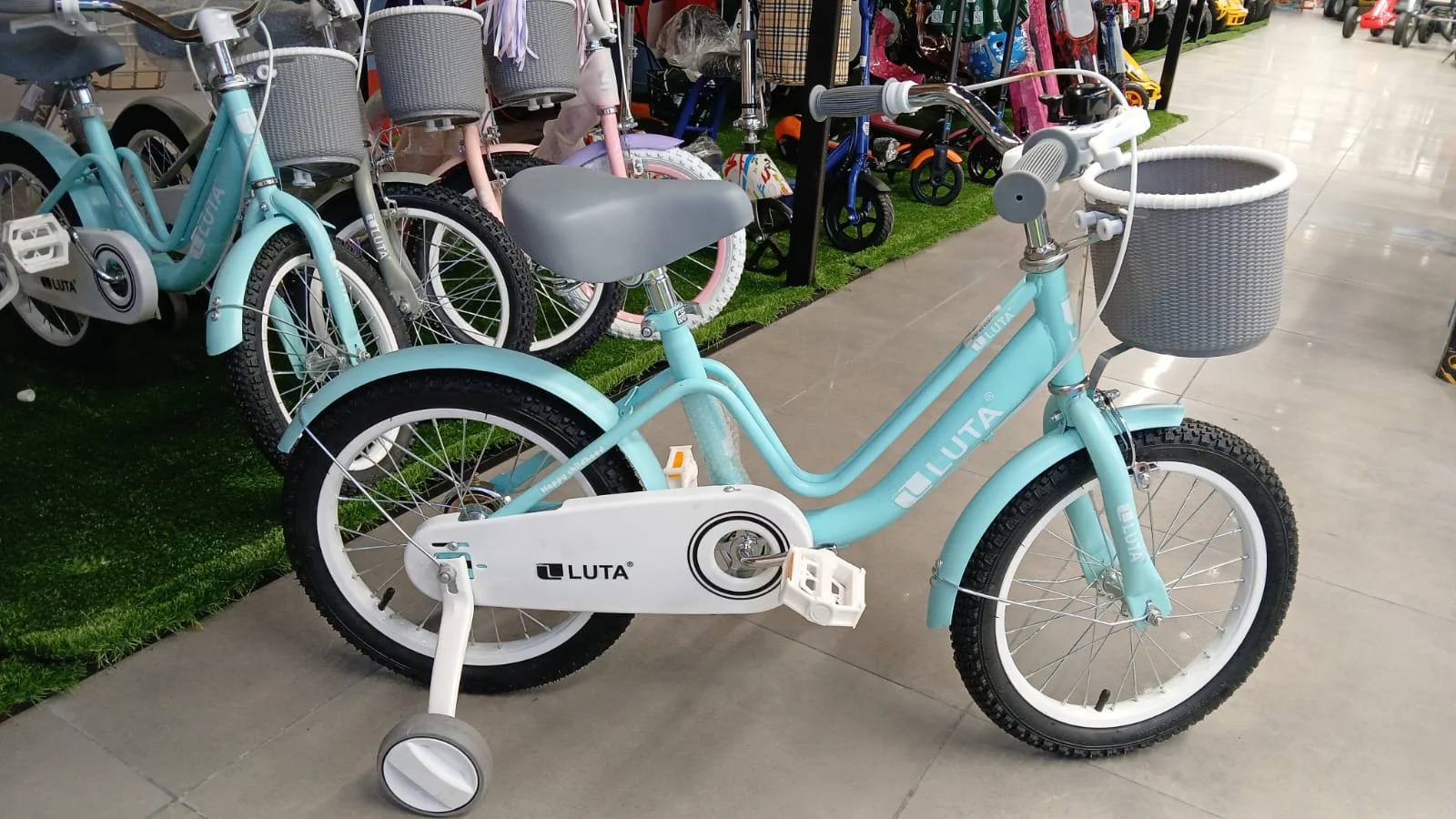 Luta Model Bicycle 16 Inch Green 100-31-16
