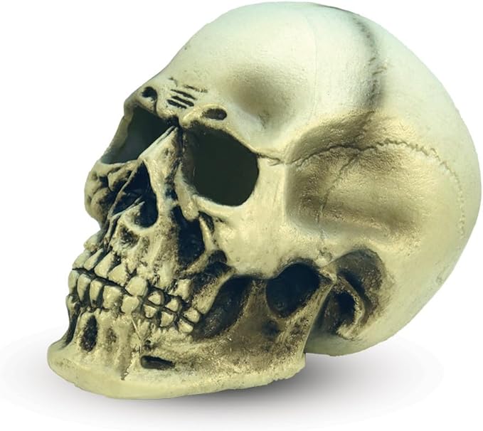 Halloween Green Light-Up Skull 299092 - Image 3