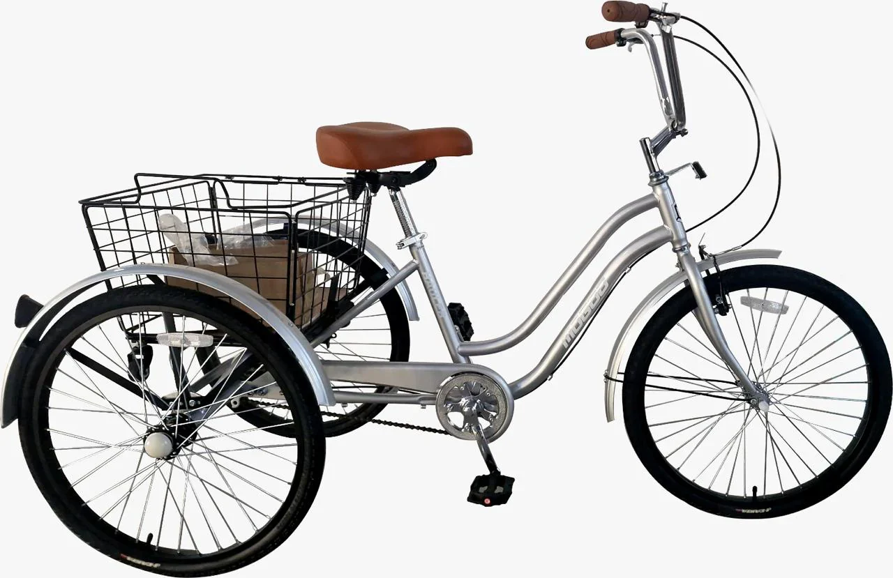 Mogoo Hauler Tricycle Basket 24 Silver