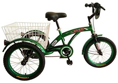 Mogoo Tricycle 16 Inches with Basket