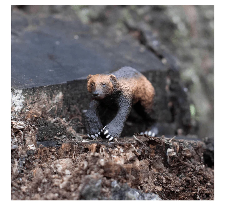 Mojo Animal Planet Wolverine 387146 - Image 2