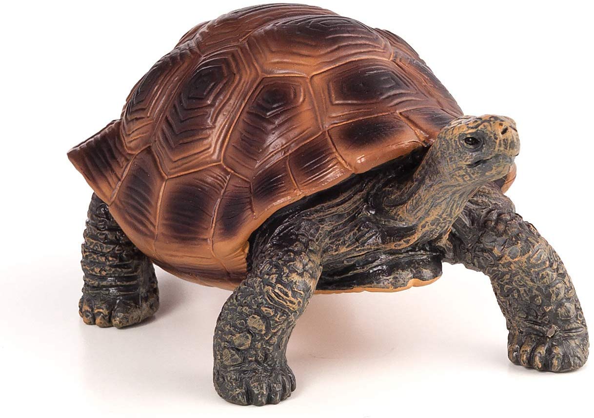 Mojo Nimal Planet Giant Tortoise