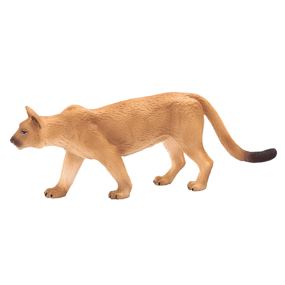 Mountain Lion