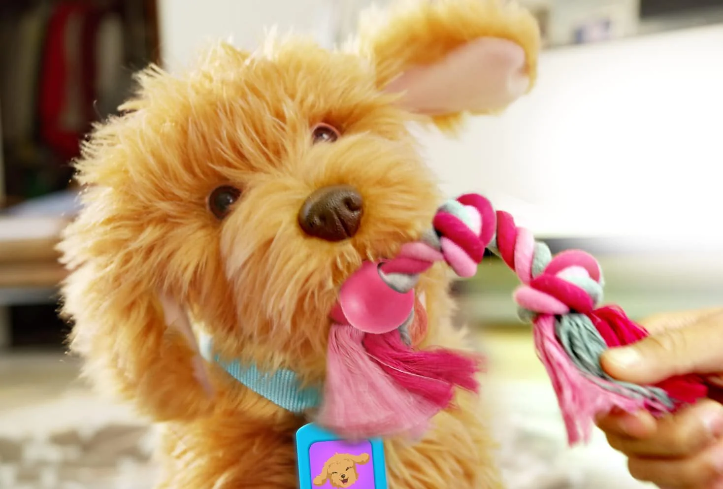 My Fuzzy Friend Moji the Lovable Labradoodle 18207 - Image 4