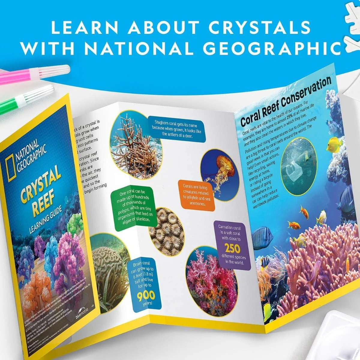 National Geographic Crystal Reef Coral Growing Lab RTCRYSHABINT - Image 4