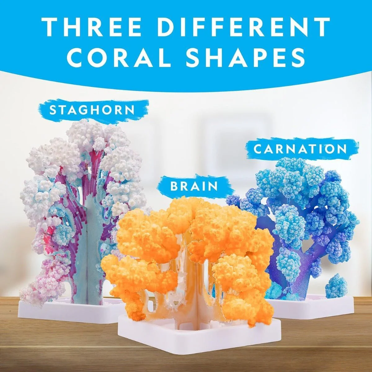 National Geographic Crystal Reef Coral Growing Lab RTCRYSHABINT - Image 5