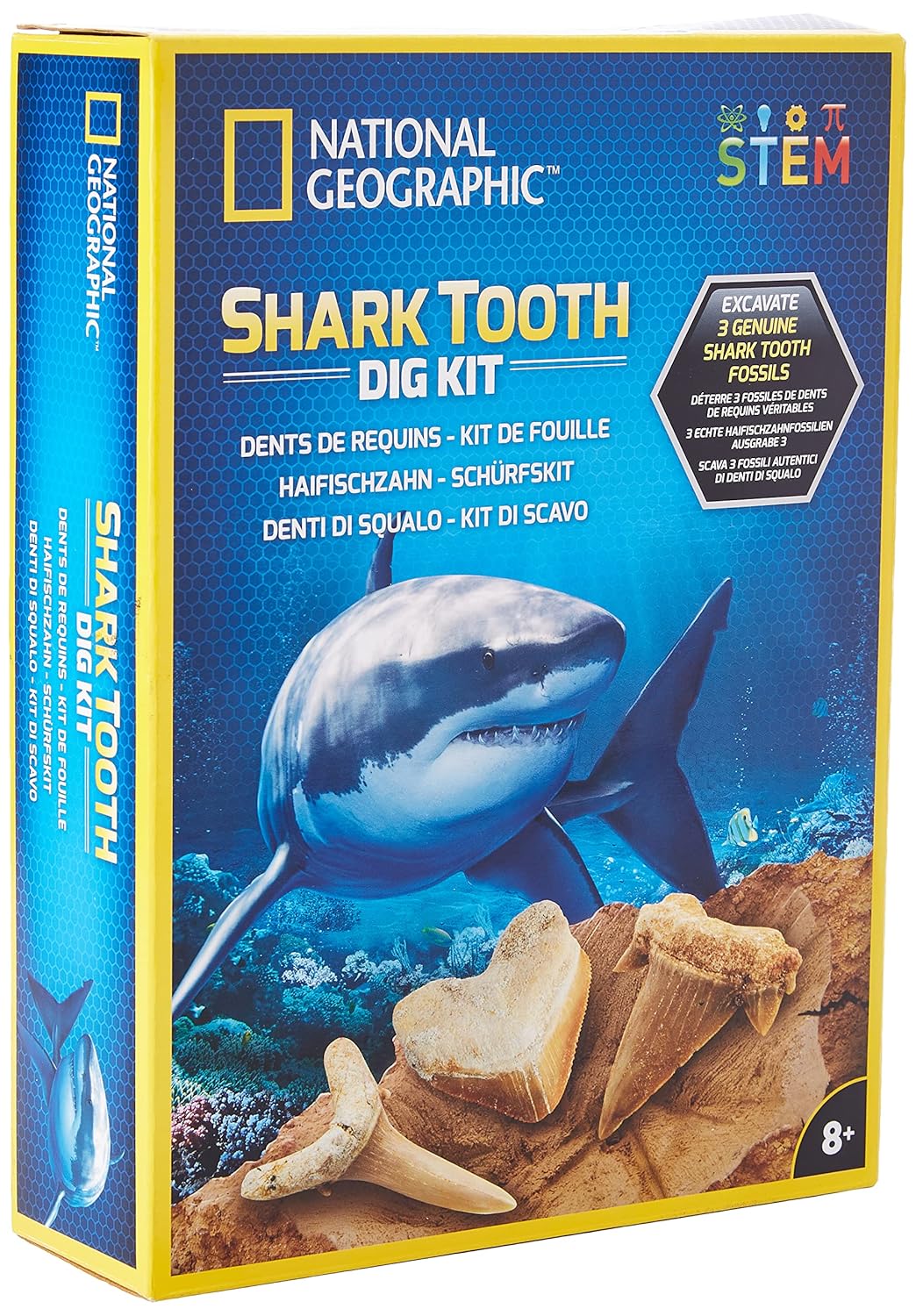 National Geographic Hammerhead Shark Dig Kit RTHAMSHDIG