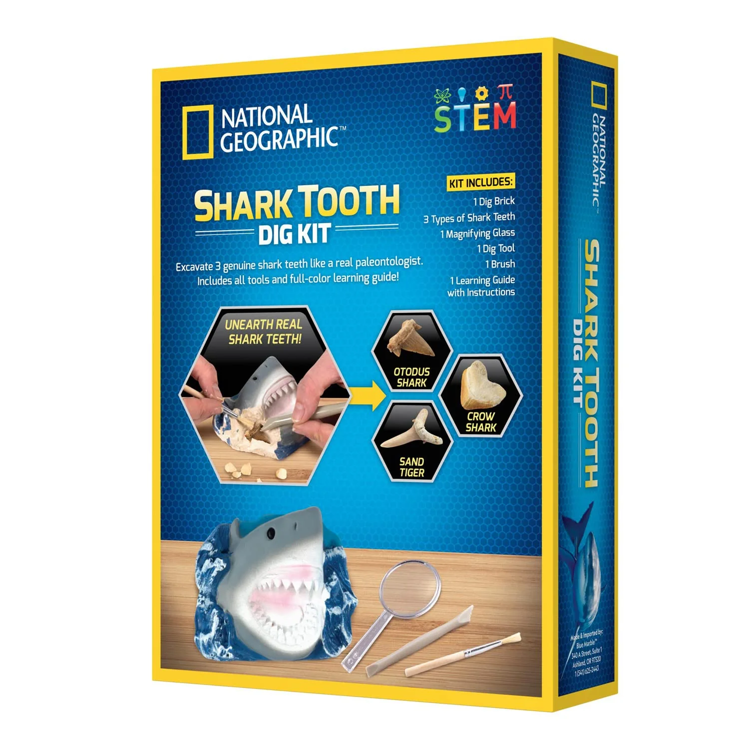 National Geographic Hammerhead Shark Dig Kit RTHAMSHDIG - Image 4