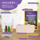 National Geographic Ornament Air-Dry Clay Kit - Image 4