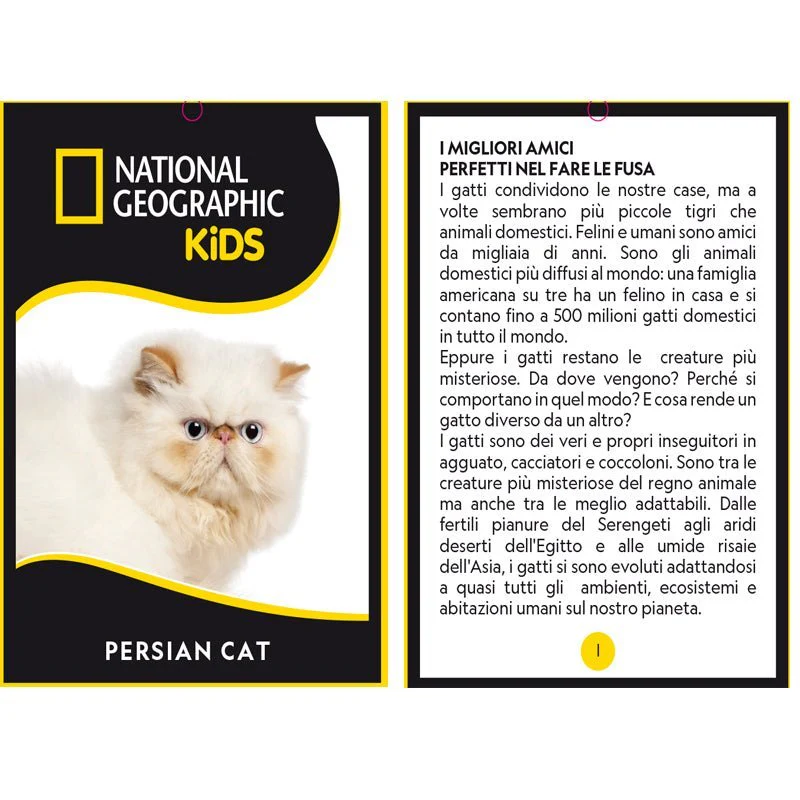National Geographic Premium Persian Cat 770670 - Image 3