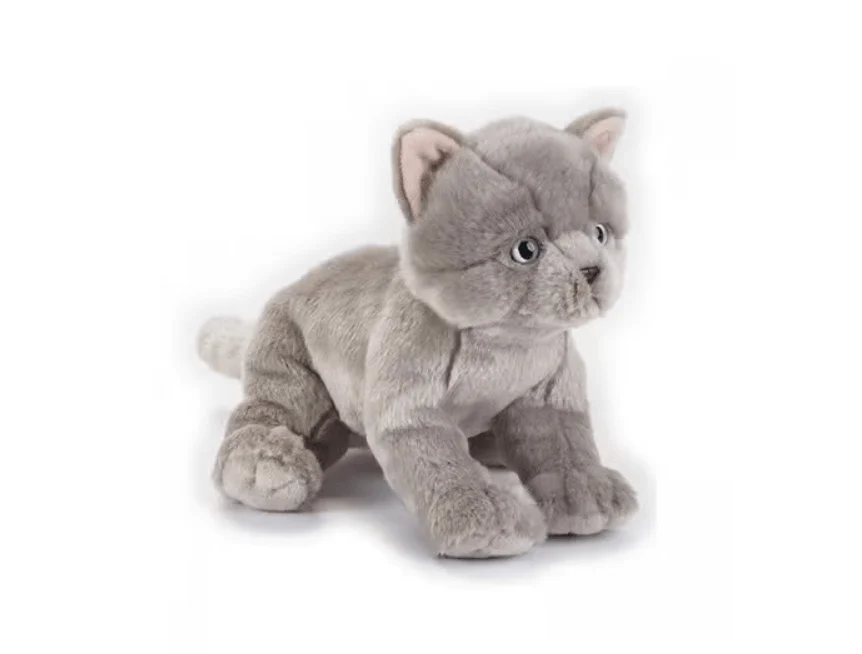 National Geographic Premium British Cat 770674 - Image 2