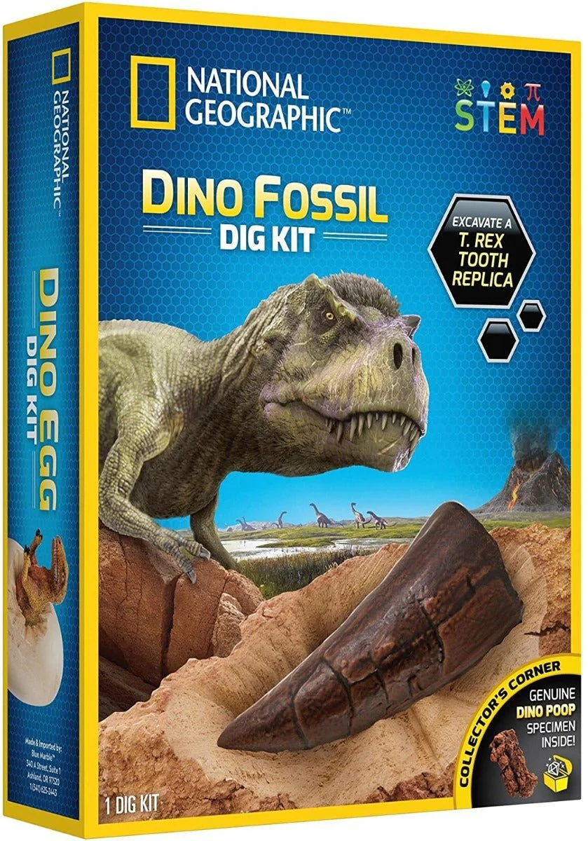National Geograpic Dino Fossil Dig Kit