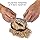 National Geograpic Dino Fossil Dig Kit RTNGDINO2INT - Image 5