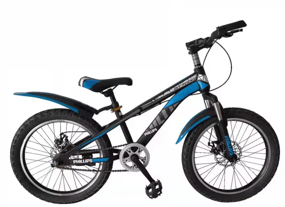 Bicycle 20 inch Phillips Blue