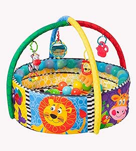 Playgro Ball Nest Activity Gym PG0184007
