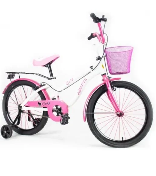 Psycho Fox Bicycle 20 Caty White