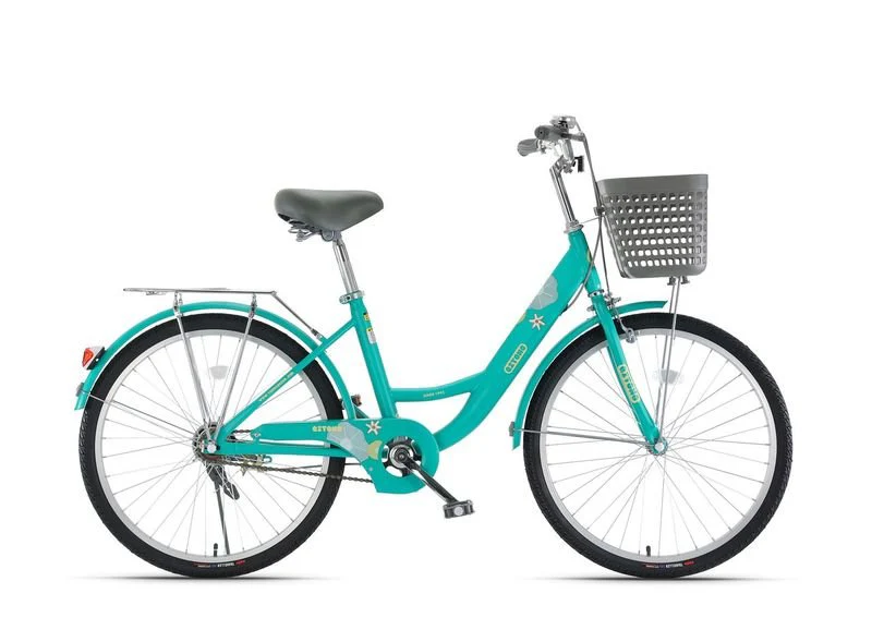 Qitong Bicycle With Basket 20 Inch Green TN24Q24