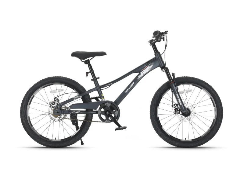 Raccoon Bicycle 22 Inch Grey TN24R79