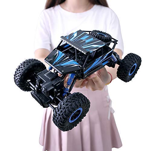 Rock Climb Amphibious RC Car 1:10 Scale ZG-D10001 - Image 3