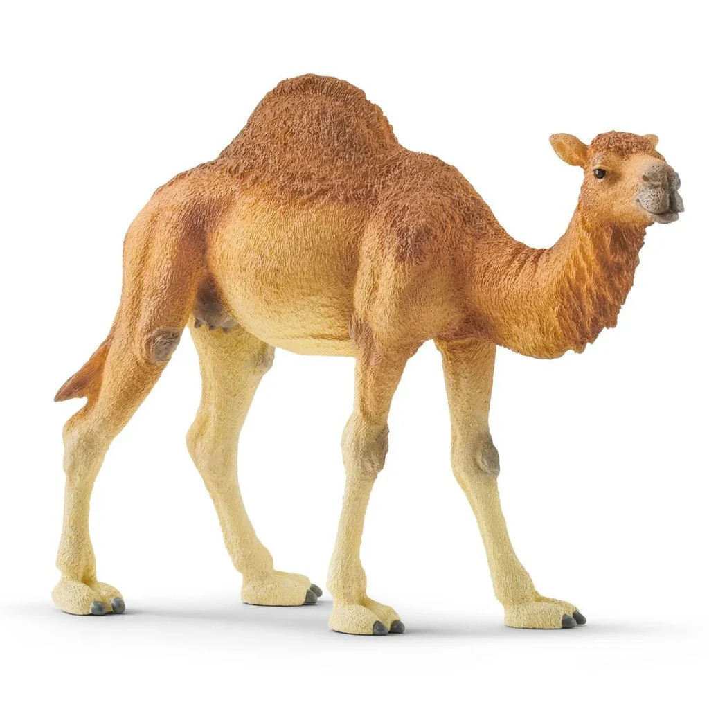 Schleich Dromedary 14832