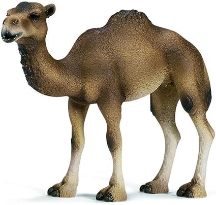 Schleich Dromedary Mare Camel 14355