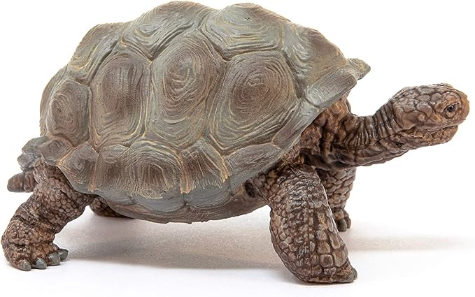 Schleich Giant Tortoise 14824 - Image 2