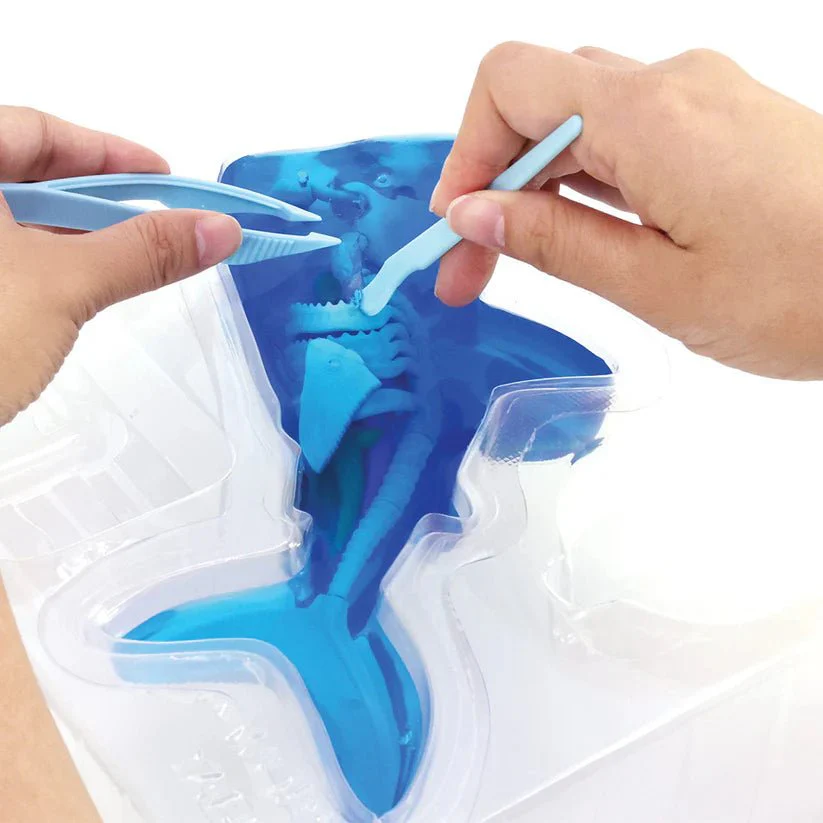 Slimy Dissect It in Giftbox - Shark with One Refill 38081 - Image 4
