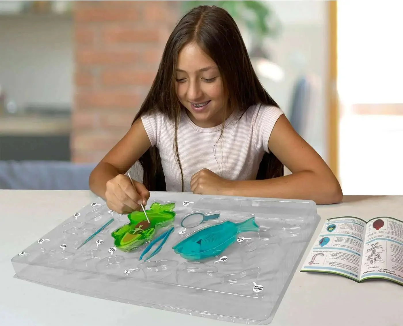 Slimy Lab Dissect It Synthetic Dissection Kit - Piranha And Frog 38084 - Image 3