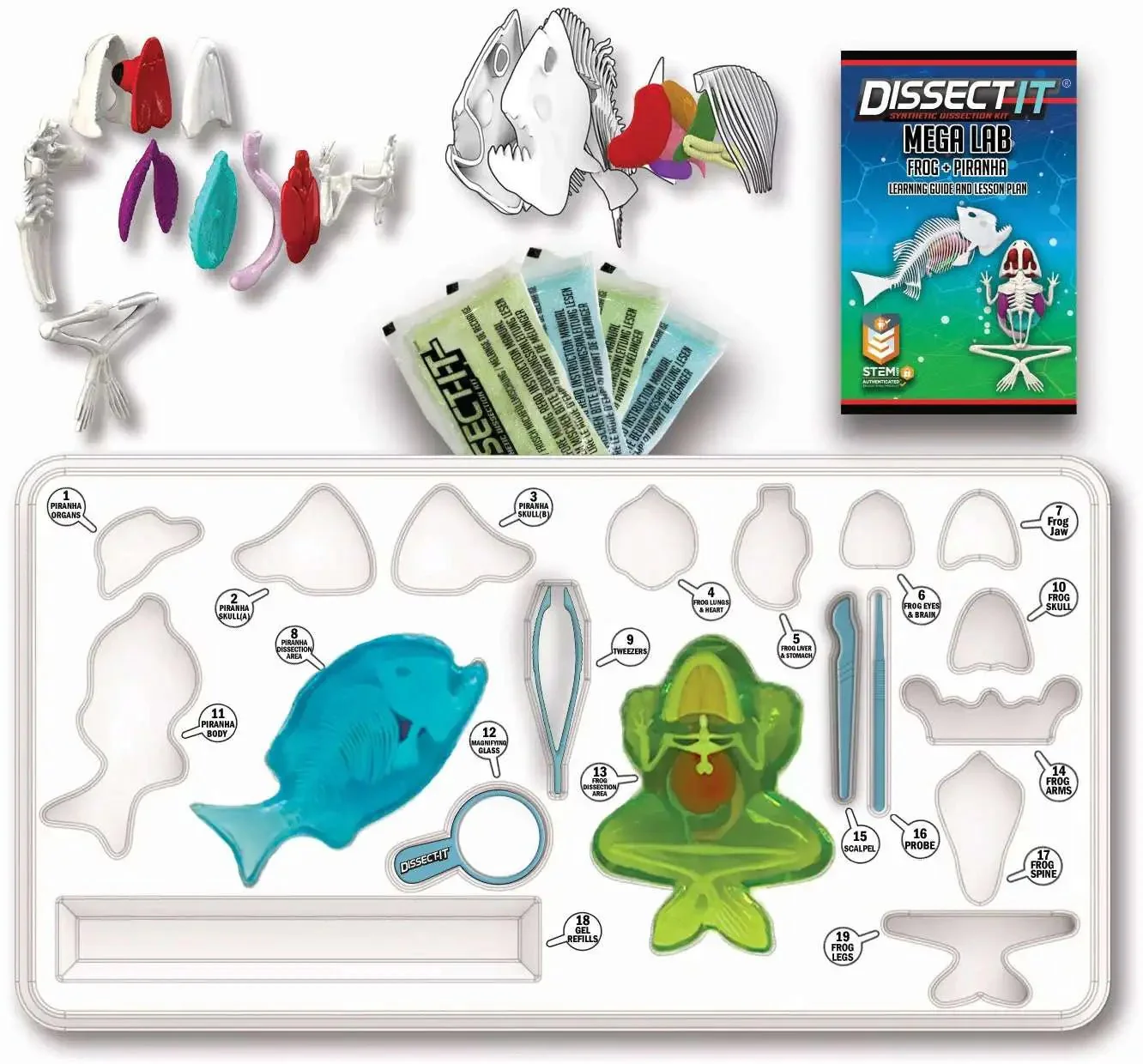 Slimy Lab Dissect It Synthetic Dissection Kit - Piranha And Frog 38084 - Image 4
