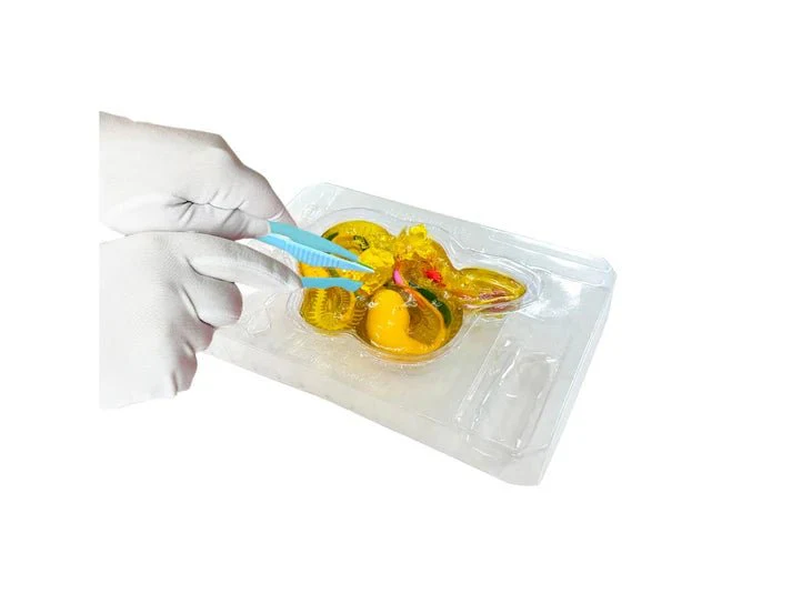 Slimy Lab Dissect It Synthetic Dissection Kit - Rattlesnake 38095 - Image 3