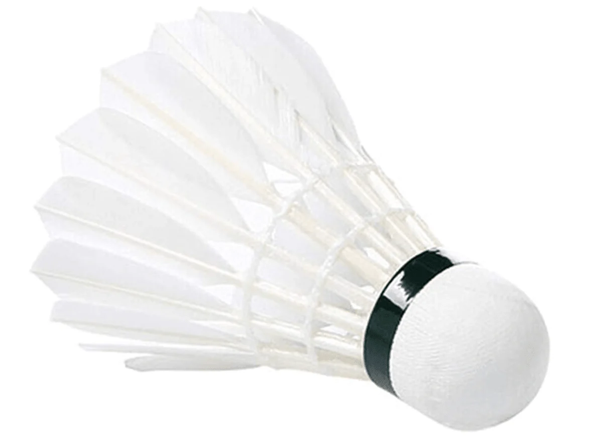 Sup Feather Shuttlecock 6pcs JY9403
