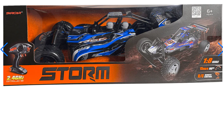 Syrcar Storm RC Car 1:8 Scale 666-836A