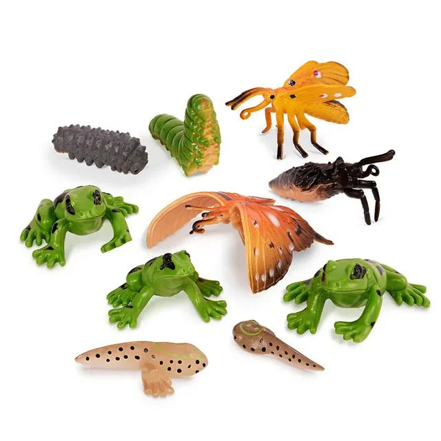 Terra 10-Pcs Metamorphosis Animals 4-8cm AN2891Z - Image 2