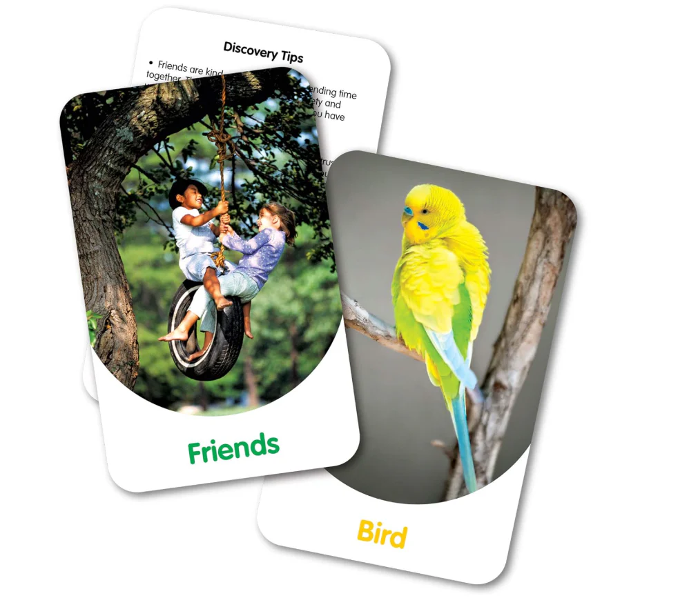 The Learning Journey Discover Cards In and Around 772539 - Image 3