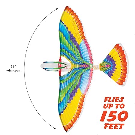 Tim Bird Kites and Flight Toy 012123 - Image 2