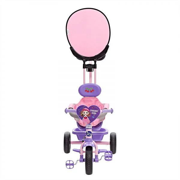 Tricycle for Kids Pink Purple DX-455