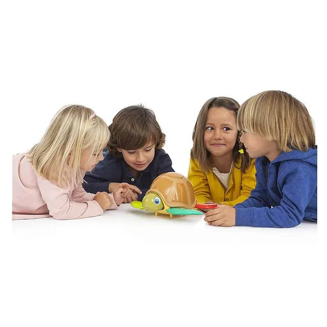 Turtle Fun Game 10376 - Image 2