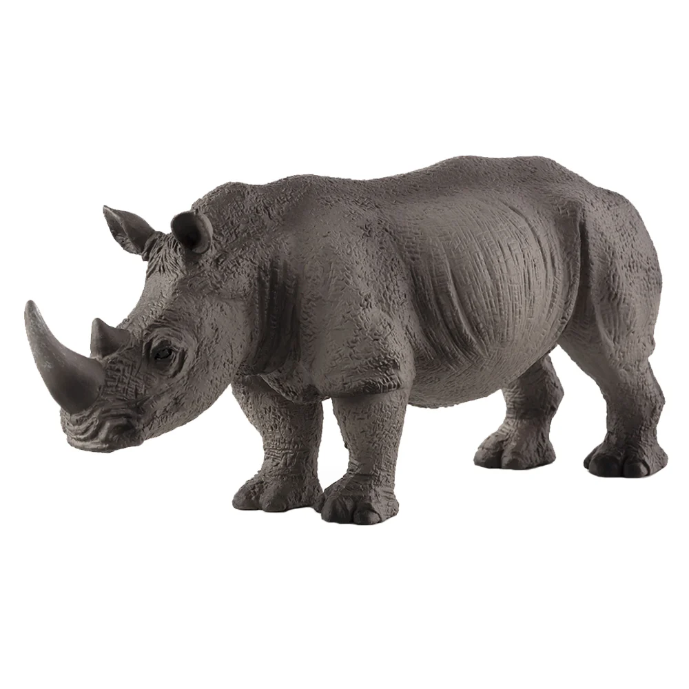 White RhinocerosXL